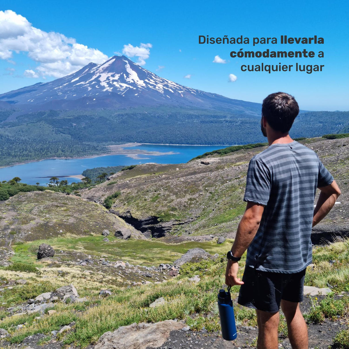 jpg_1500x1500_62002357