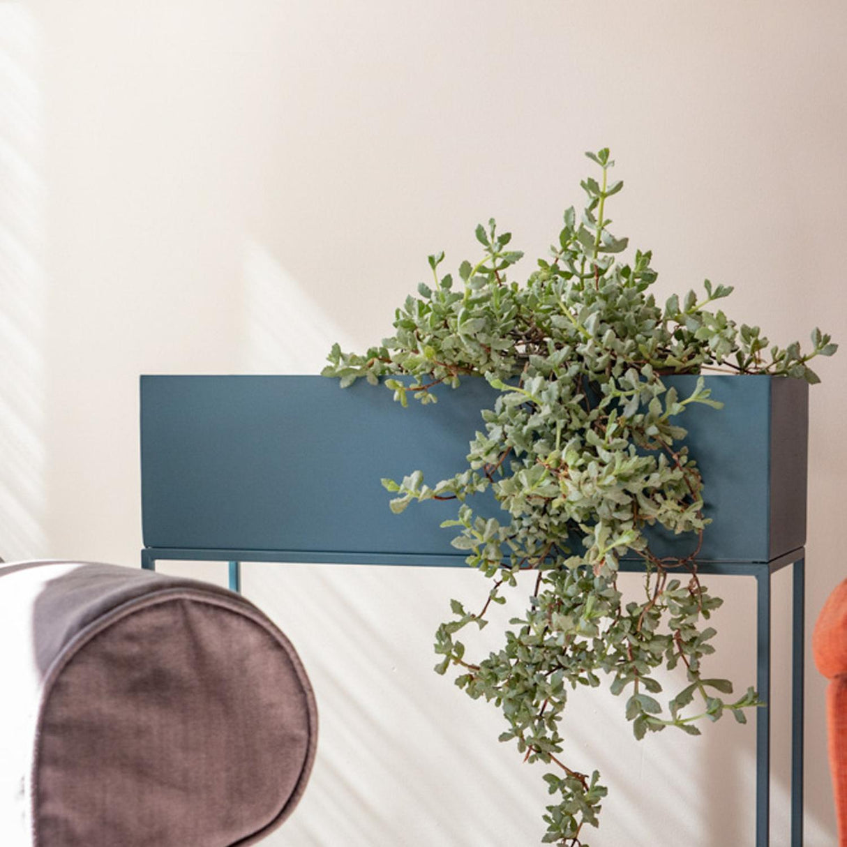 jpg_1500x1500_66315709