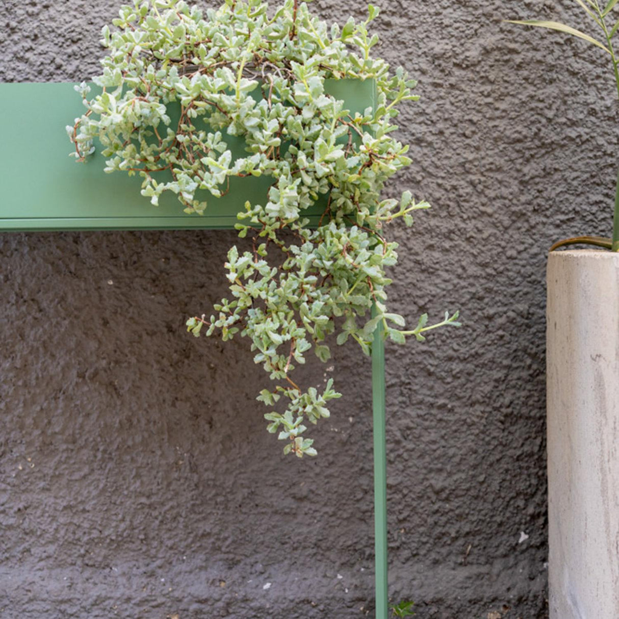 jpg_1500x1500_66315669