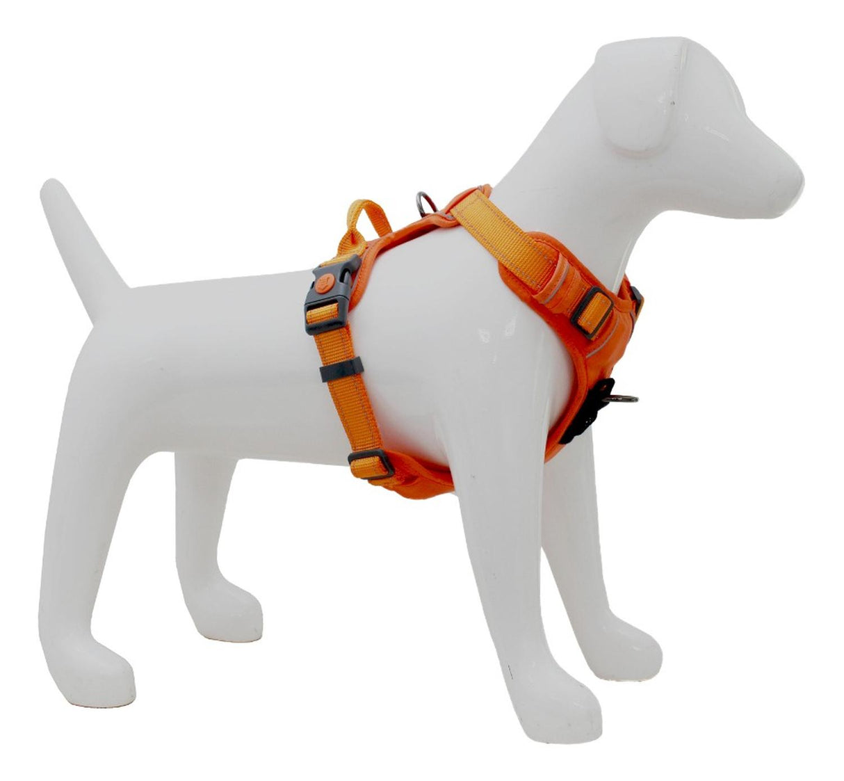 jpg_1500x1500_62001031