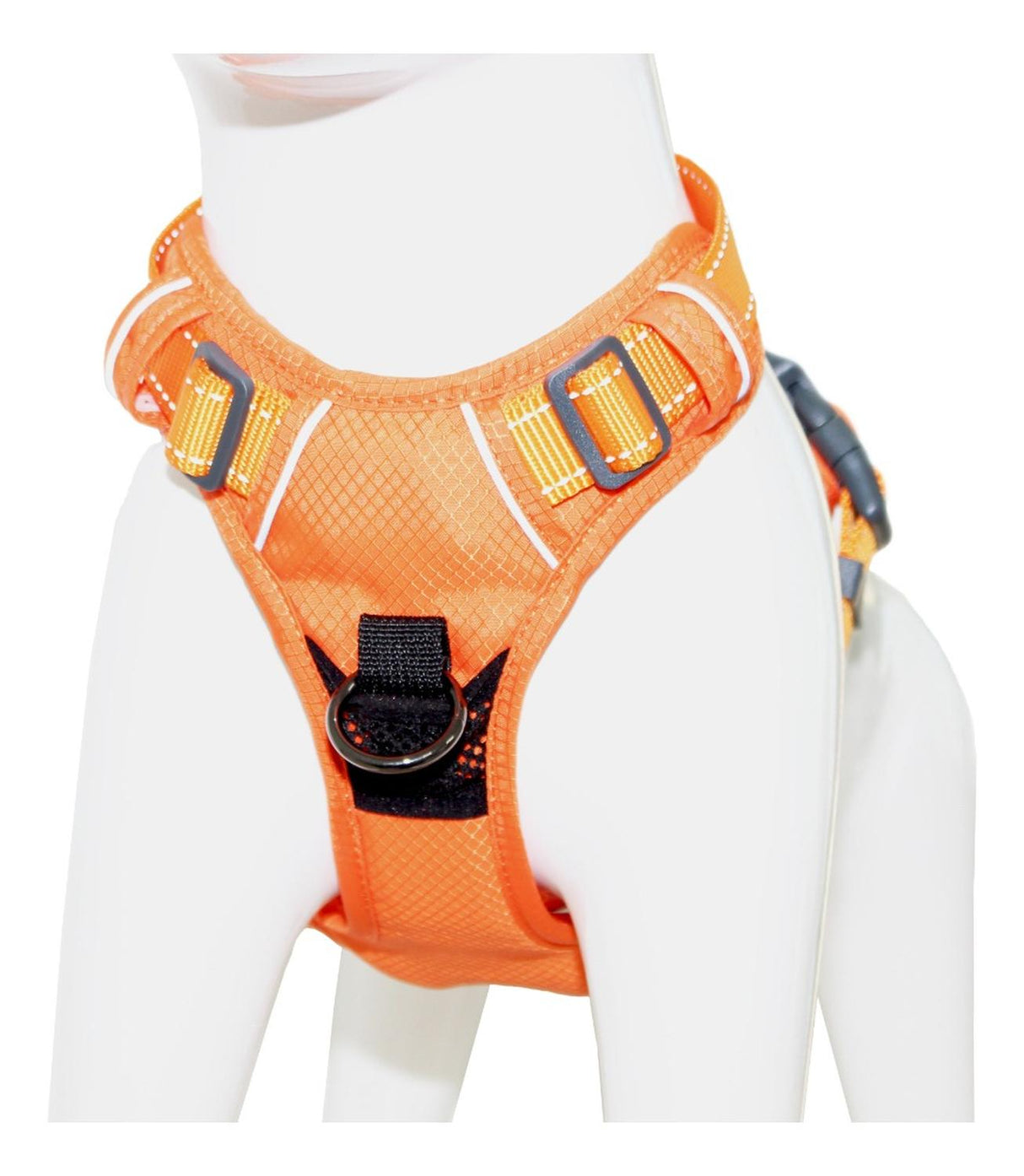 jpg_1500x1500_62001032