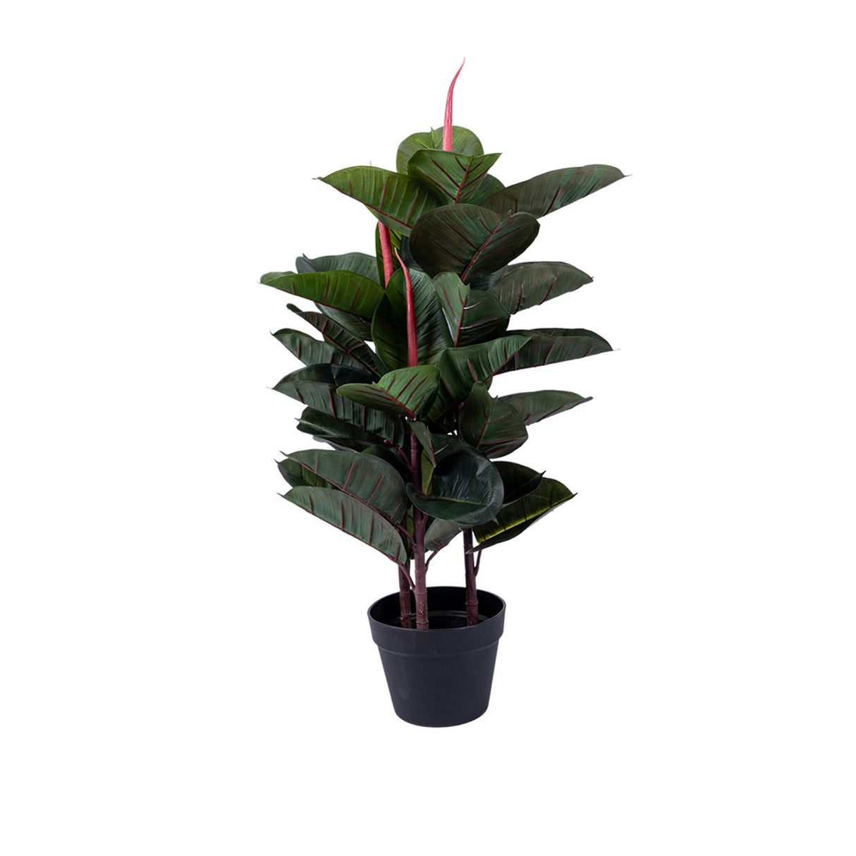 jpg_1500x1500_64397412