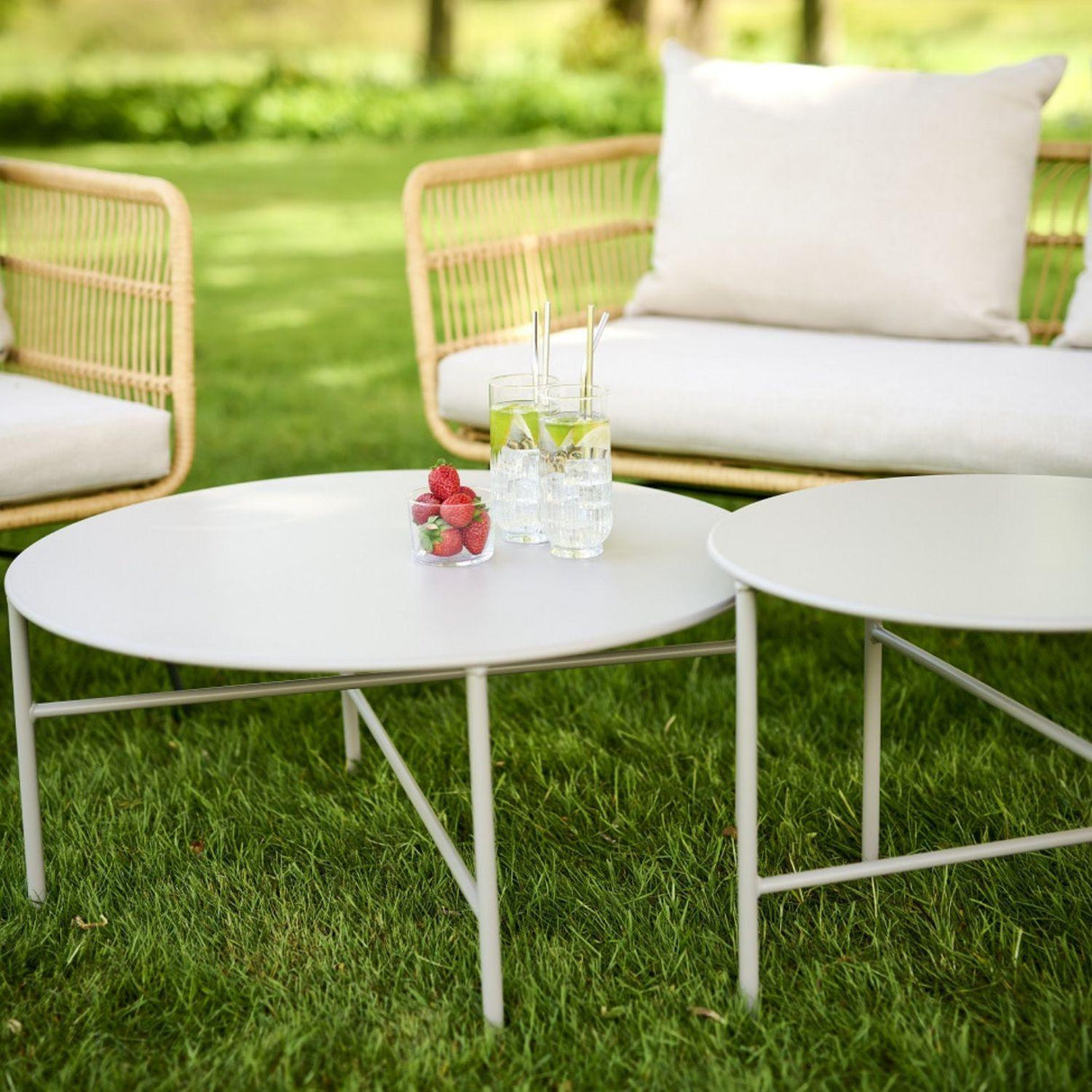 jpg_1500x1500_66319009