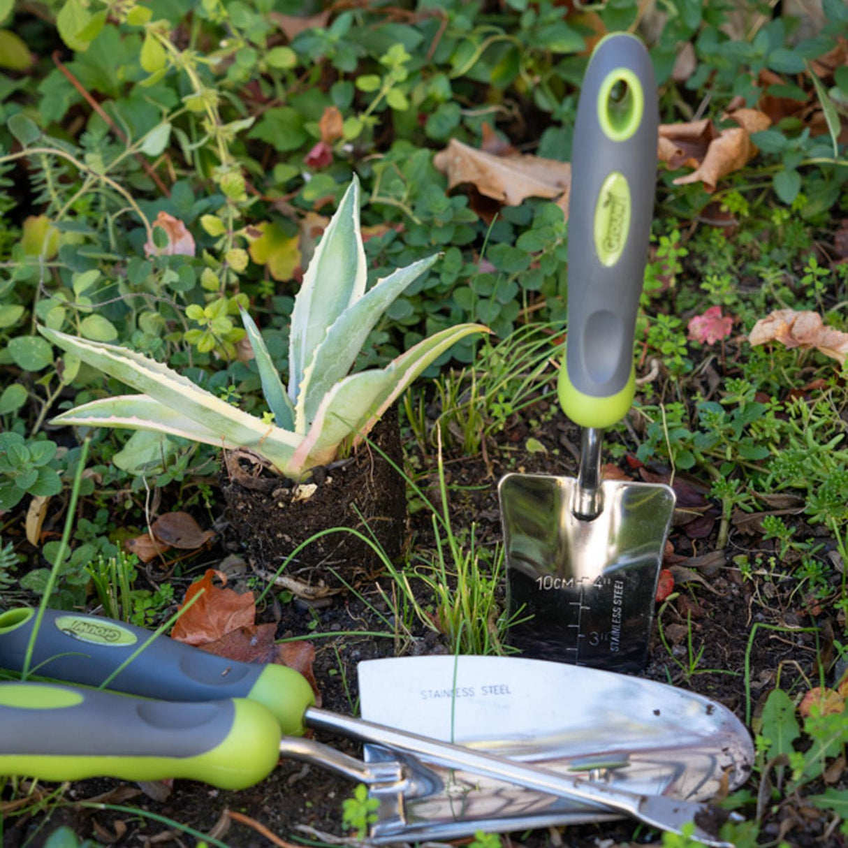 jpg_1500x1500_65972413