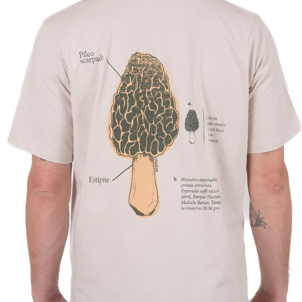 jpg_1500x1500_67757158