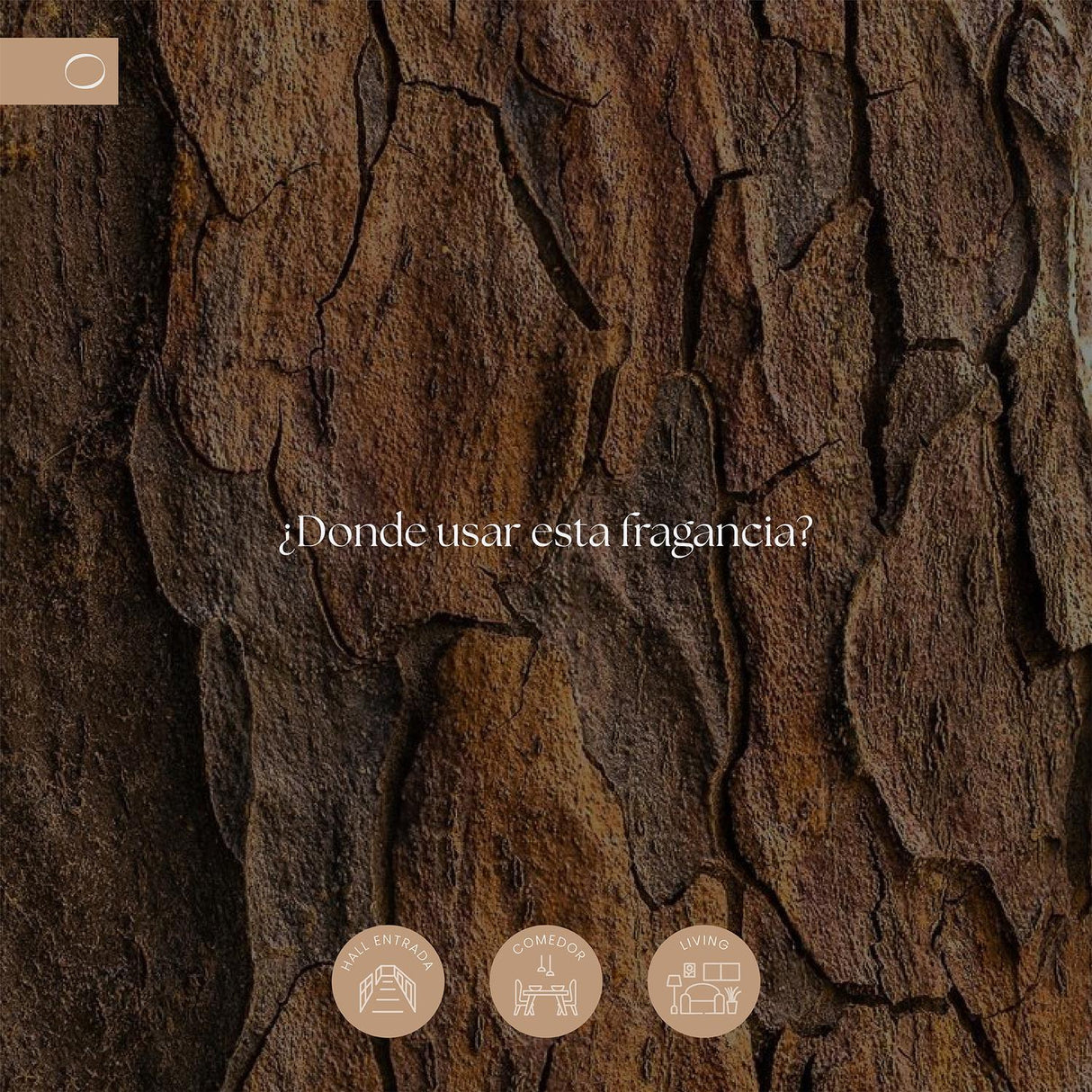 jpg_1500x1500_68977777