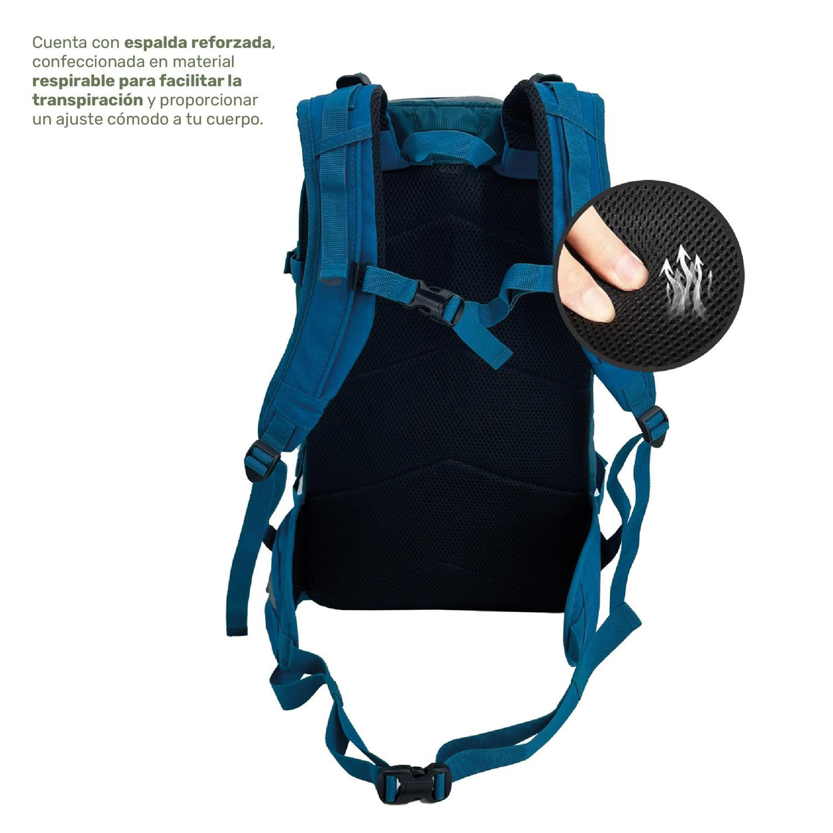 jpg_1500x1500_64626431