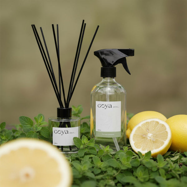 Pack Home Spray + Difusor Varitas GOYA Citron Verveine