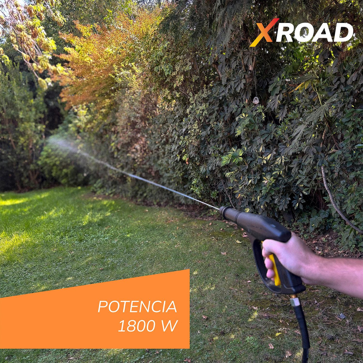 jpg_1500x1500_63668719