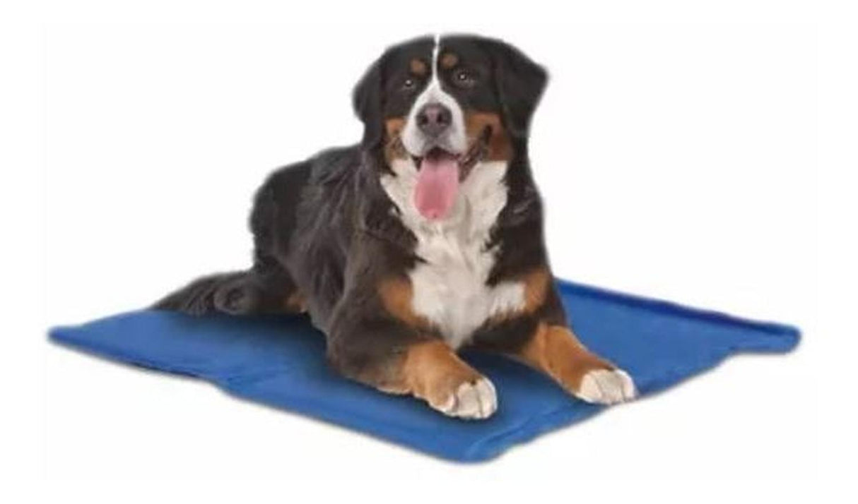 jpg_1500x1500_61998777