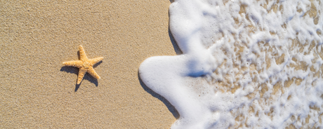 Belleza de Verano: 5 cuidados esenciales para piel y cabello bajo el sol