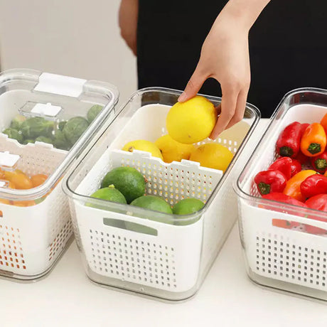 Despierta el Orden en tu Refrigerador: Un Viaje a la Organización con MeLoLLevo