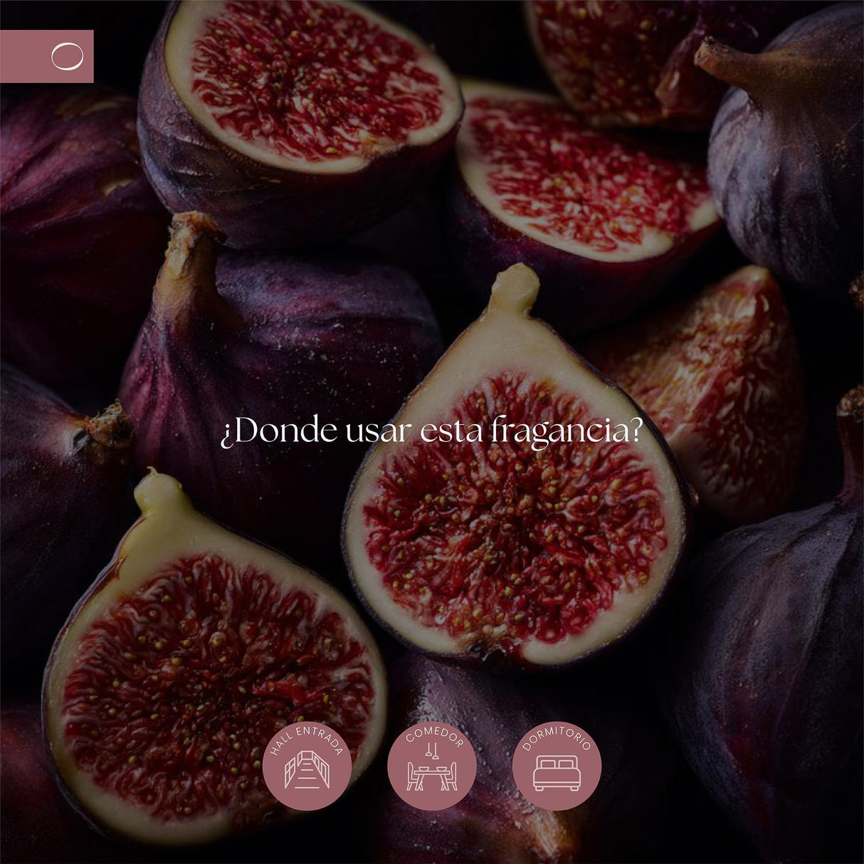 jpg_1500x1500_68979058