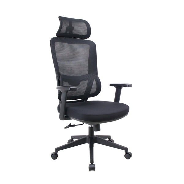LEVO Silla Escritorio Ergonomica Ergotech silla ergonomica respaldo malla mesh con soporte lumbar