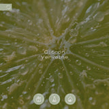 jpg_1500x1500_68977805