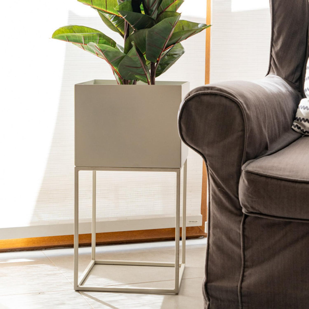 jpg_1500x1500_66315182