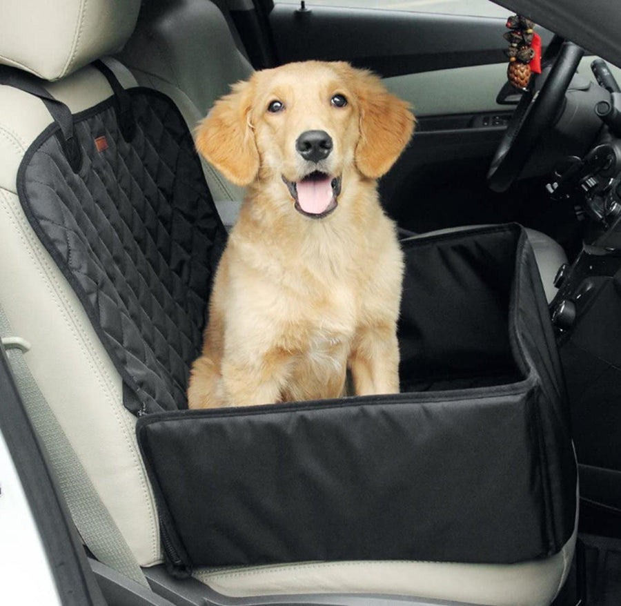 Interior — XROAD en uso
