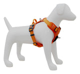 jpg_1500x1500_62001031