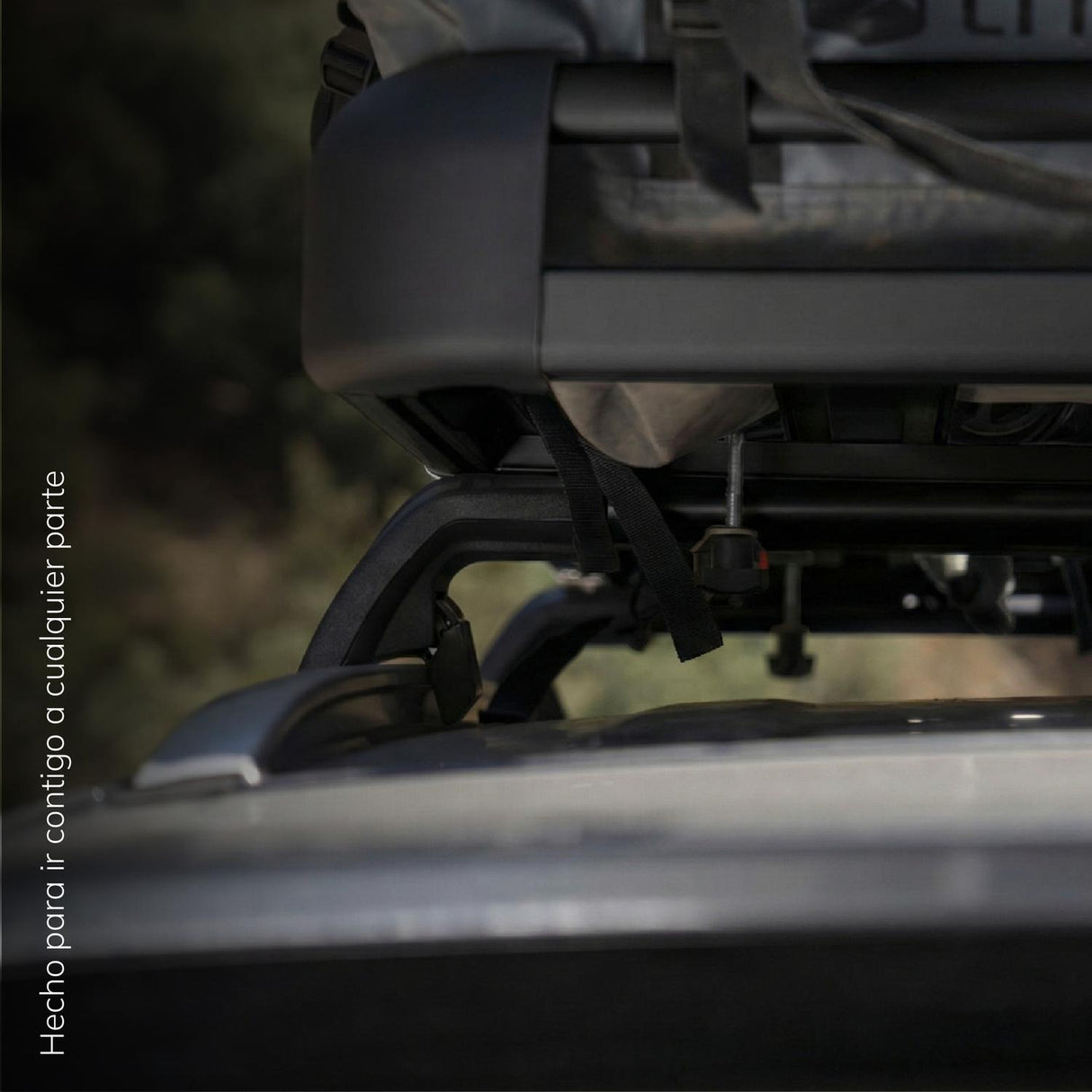 jpg_1500x1500_69015703