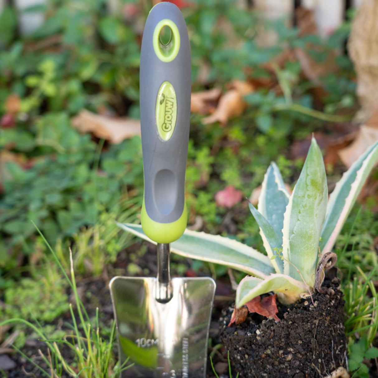 jpg_1500x1500_65972412