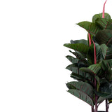 jpg_1500x1500_64397410