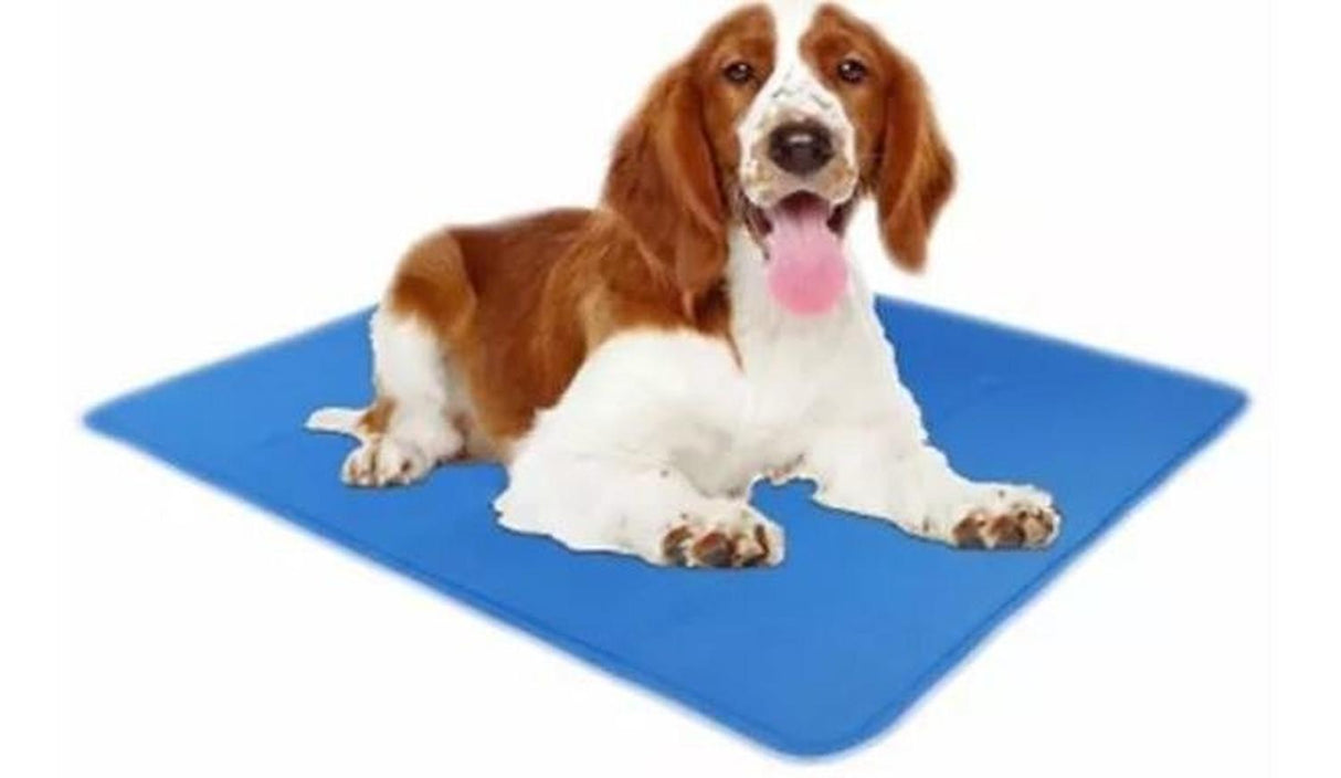 jpg_1500x1500_61998778