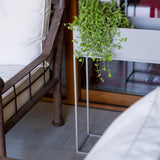 jpg_1500x1500_66315685