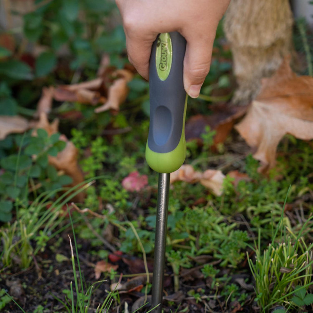 jpg_1500x1500_65972543