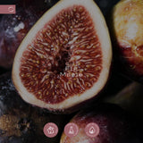 jpg_1500x1500_68977789