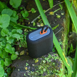 jpg_1500x1500_63700018