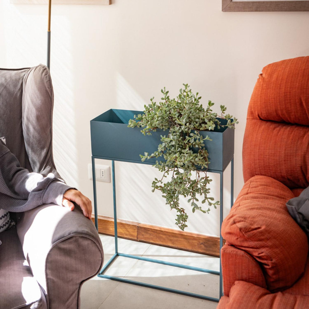 jpg_1500x1500_66315701