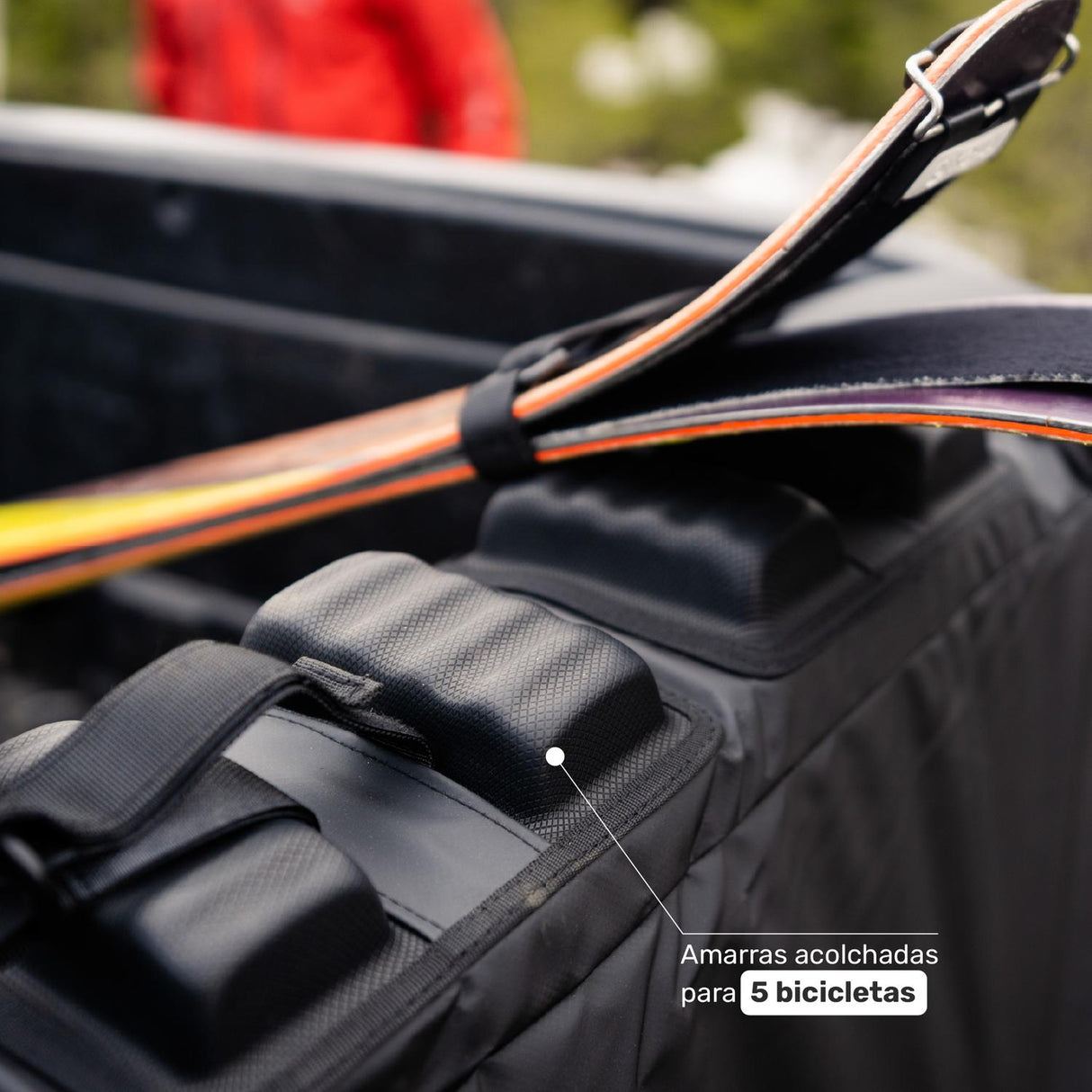 jpg_1500x1500_67079558