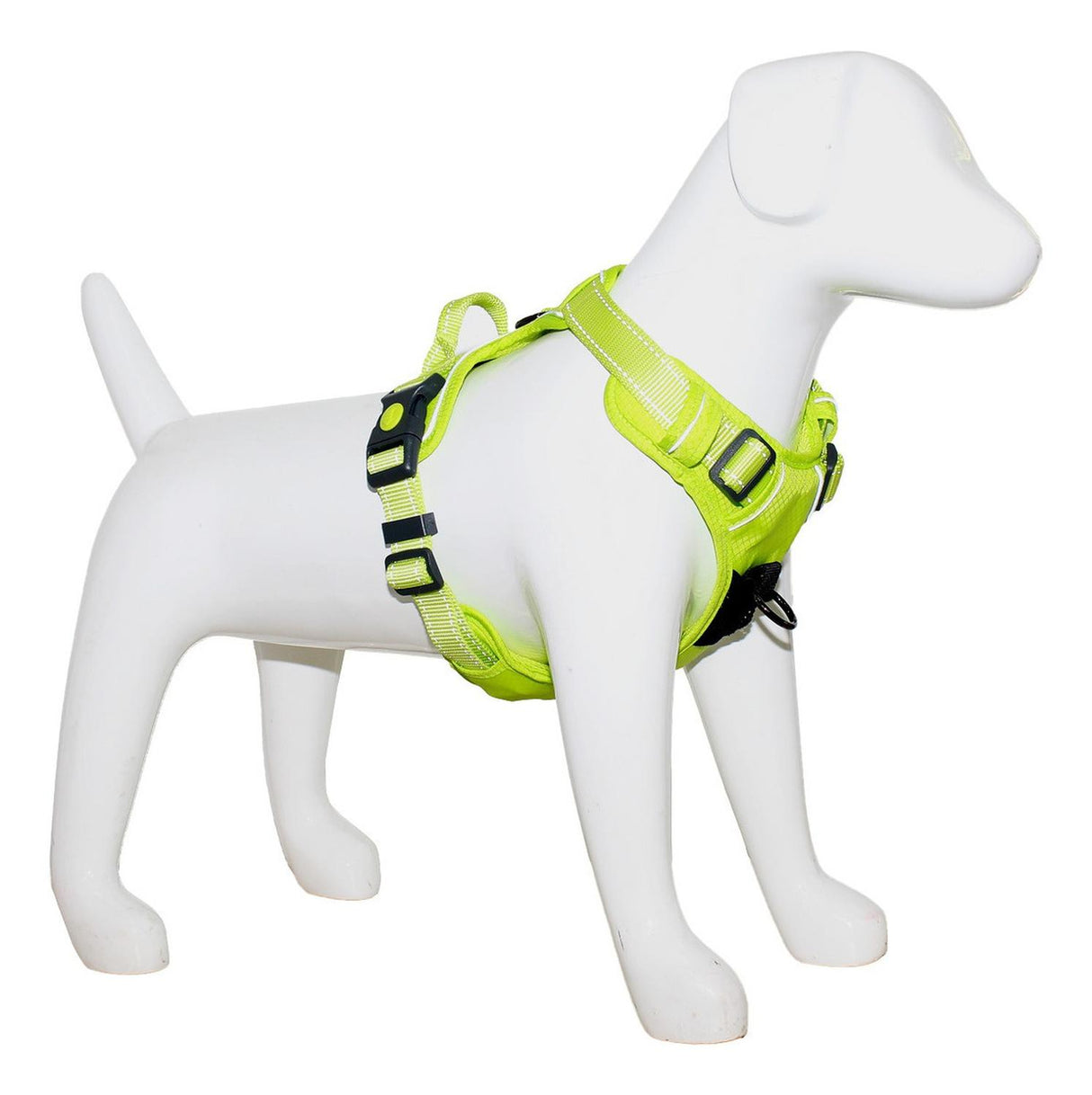 jpg_1500x1500_62003077