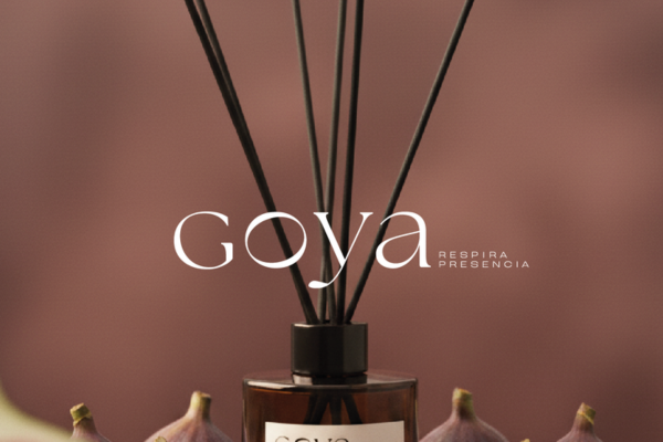 Goya — Hogar
