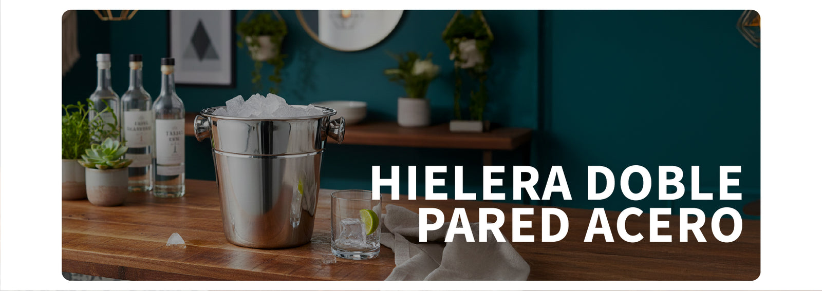 Hielera Acero Inoxidable Doble Pared 24 cm Secret de Gourmet