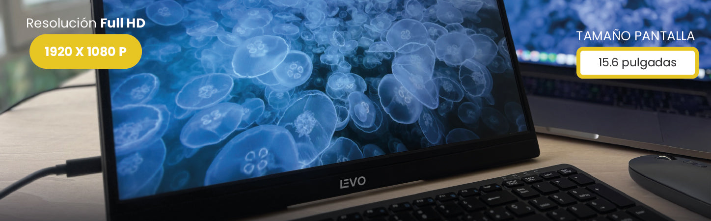 Pantalla Monitor Portátil 15.6 LED Full HD NexView LEVO