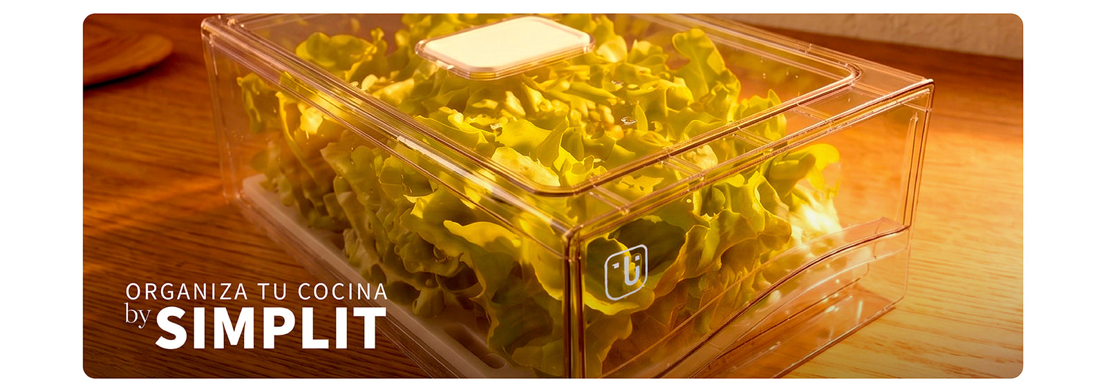 Pack Organizador Refrigerador Drenaje S + L Simplit