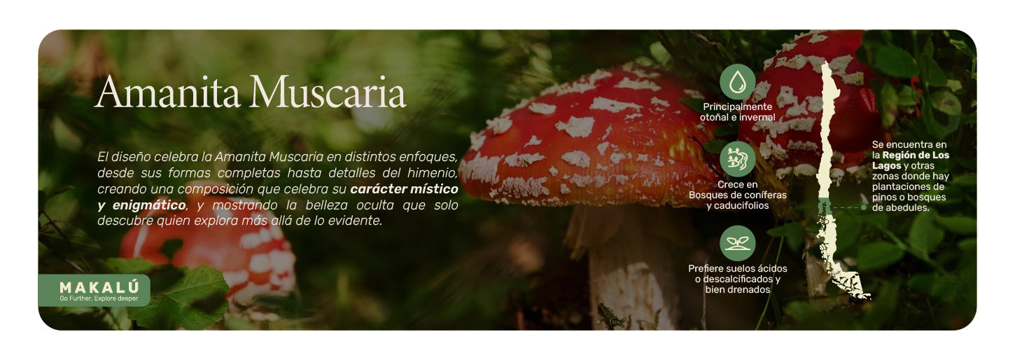 Polera Manga Corta Hombre Amanita Muscaria Lhotse