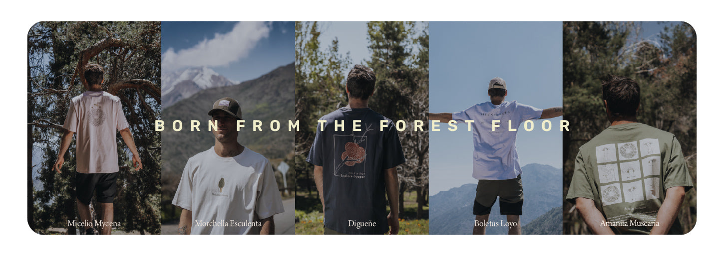 Polera Manga Corta Hombre Digueñe Lhotse