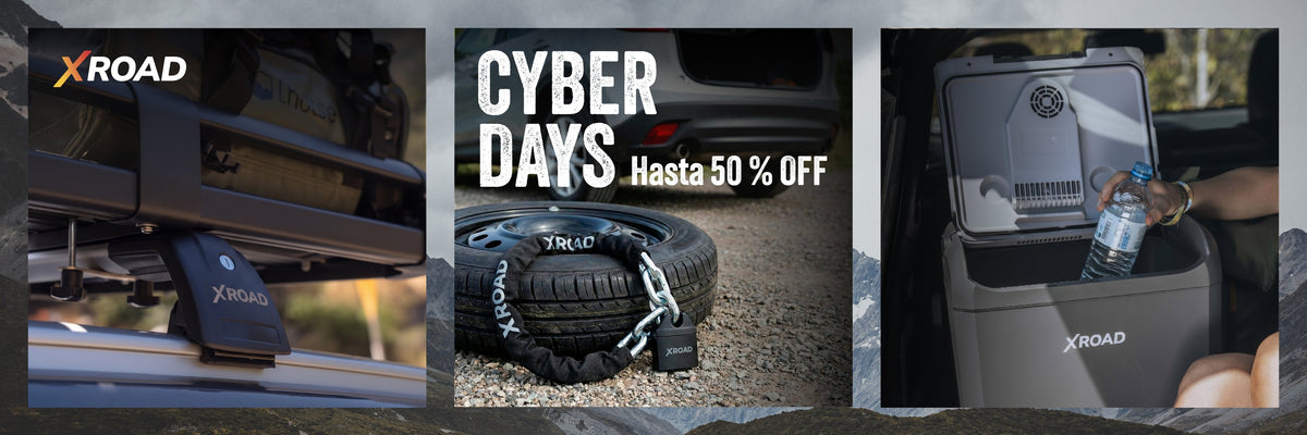 Cyber Days XROAD