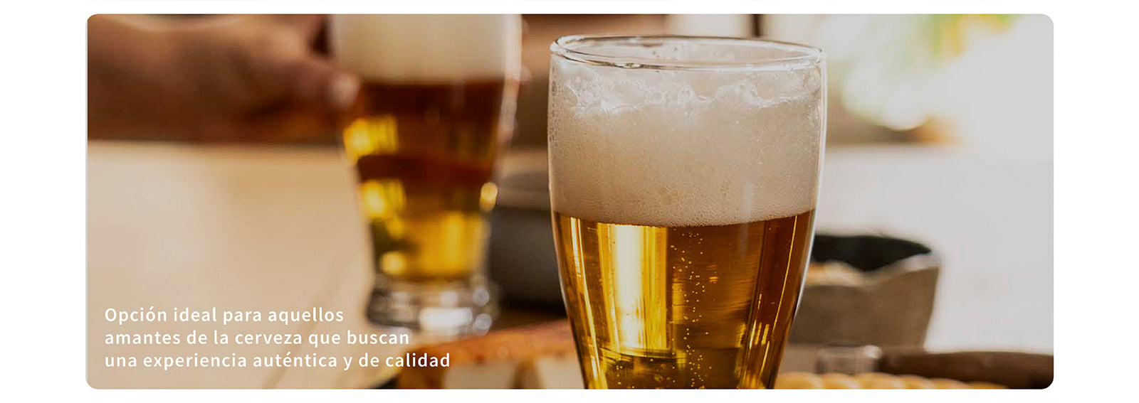 Set 6 Vasos Cerveza Portland 380ml Simplit
