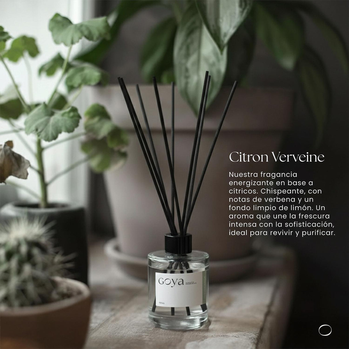 jpg_1500x1500_68977800