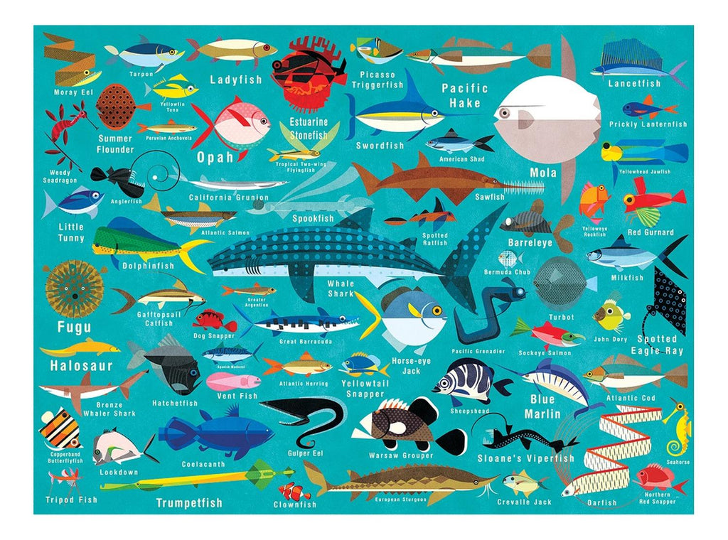 Puzzle 1000Pcs Vida Del Oceano Mudpuppy