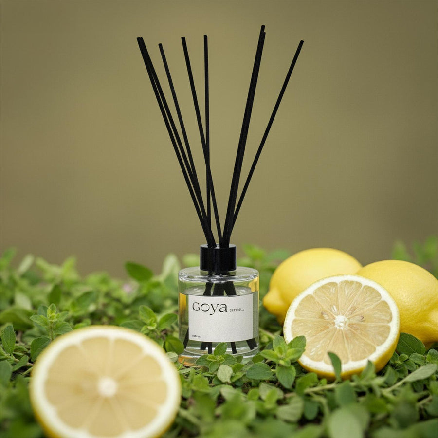 Limones y verbena, notas del aroma Citron Verveine Goya