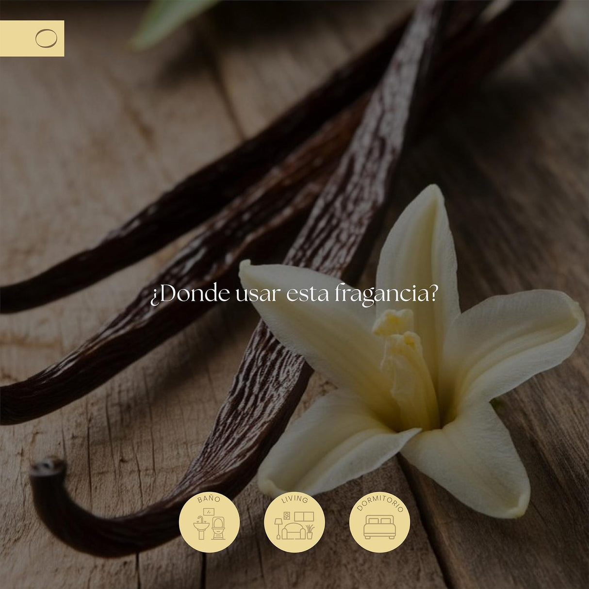 jpg_1500x1500_68977825