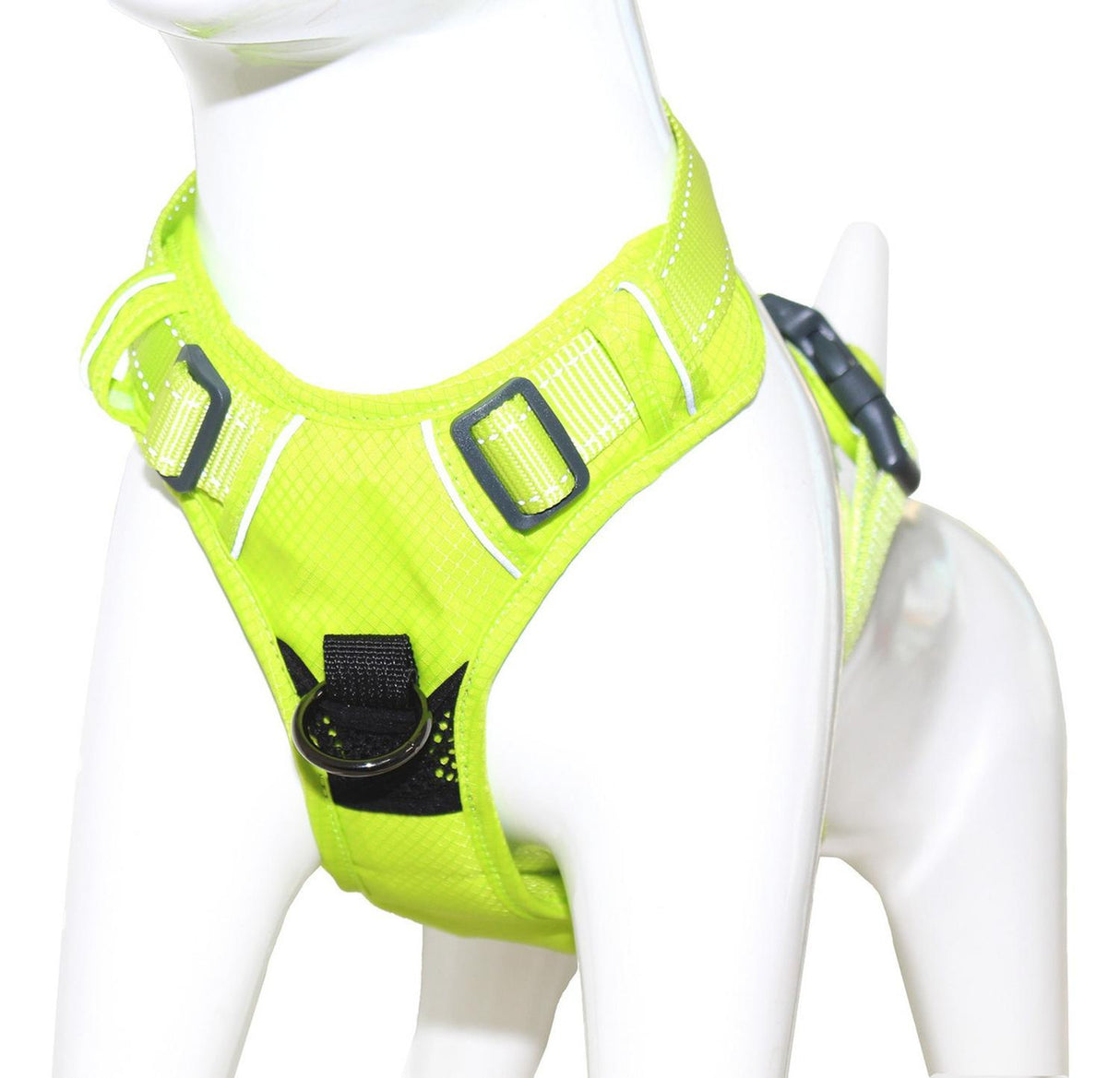 jpg_1500x1500_62003078