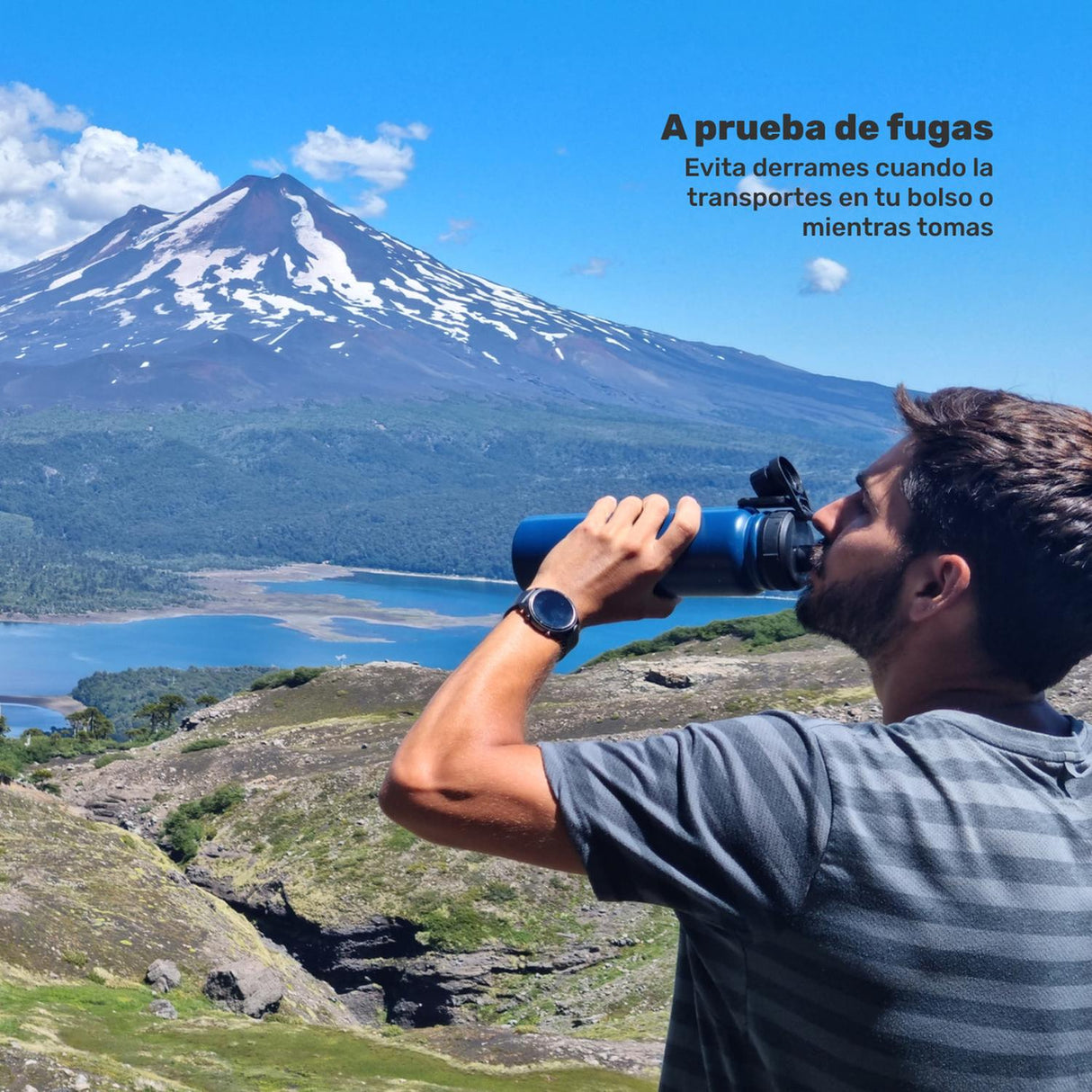 jpg_1500x1500_62002358