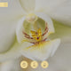 Aromatizadores y difusores