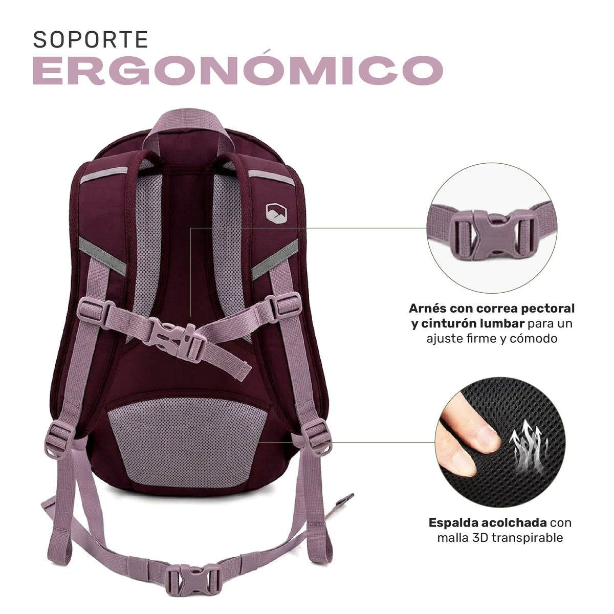 Mochila Outdoor DayPack Latok 25L Burdeo Lhotse, espalda con malla 3D, correa pectoral y cinturón lumbar