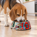 Plato Melamina Motivo Redondo Multicolor Talla M Perro Mascan en uso